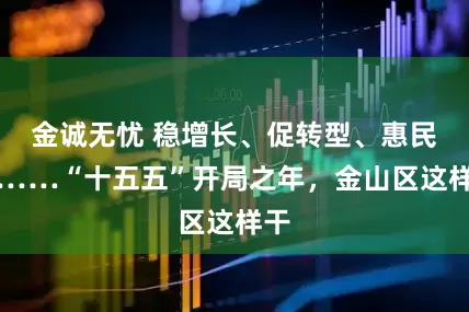 金诚无忧 稳增长、促转型、惠民生……“十五五”开局之年，金山区这样干